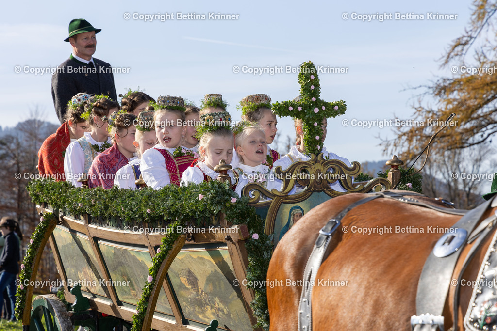 LBT24-1179 | foto-bettina-krinner - Realisiert mit Pictrs.com