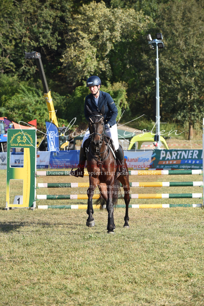 DSC_5170 | Pferde- und Turnierfotografie in Westsachsen. Pferdeportraits, Auftragszeichnungen und intuitive Kunst.