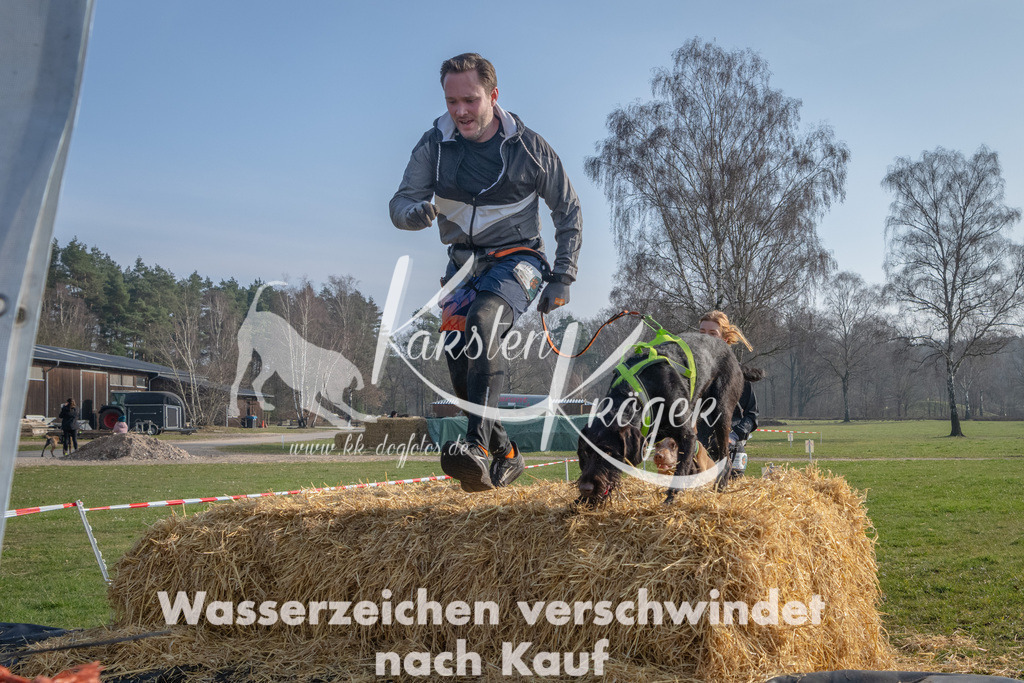 _ZZ93683 | kk-dogfotos