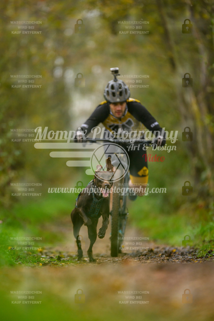 MompixPhotography_20TSB_E6_DS1-10 | PayLife