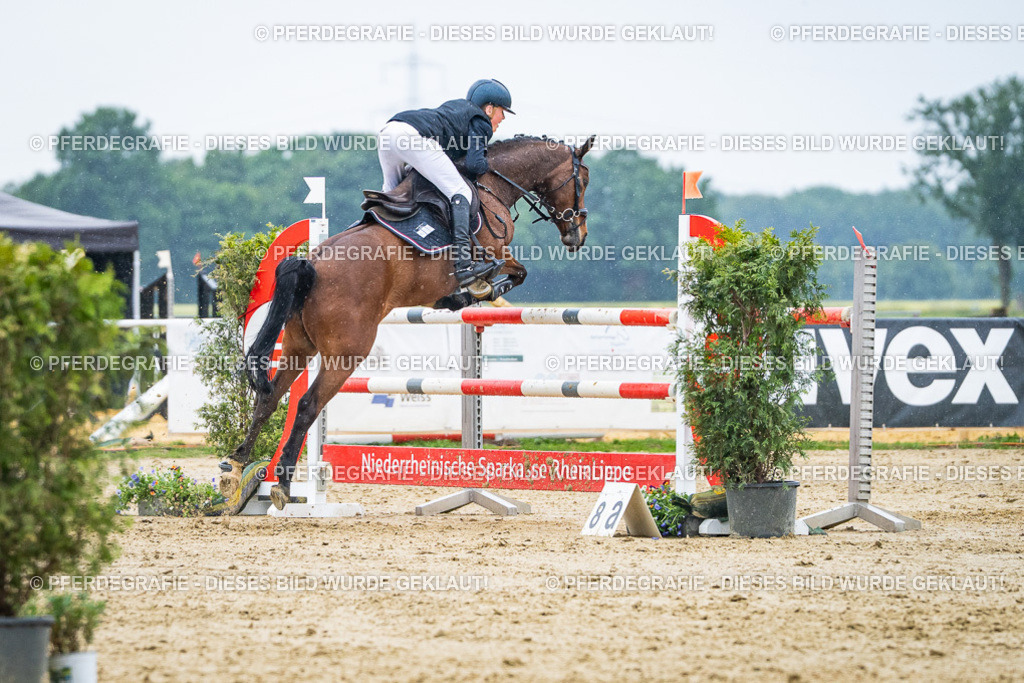 DSC09682 | Pferdegrafie