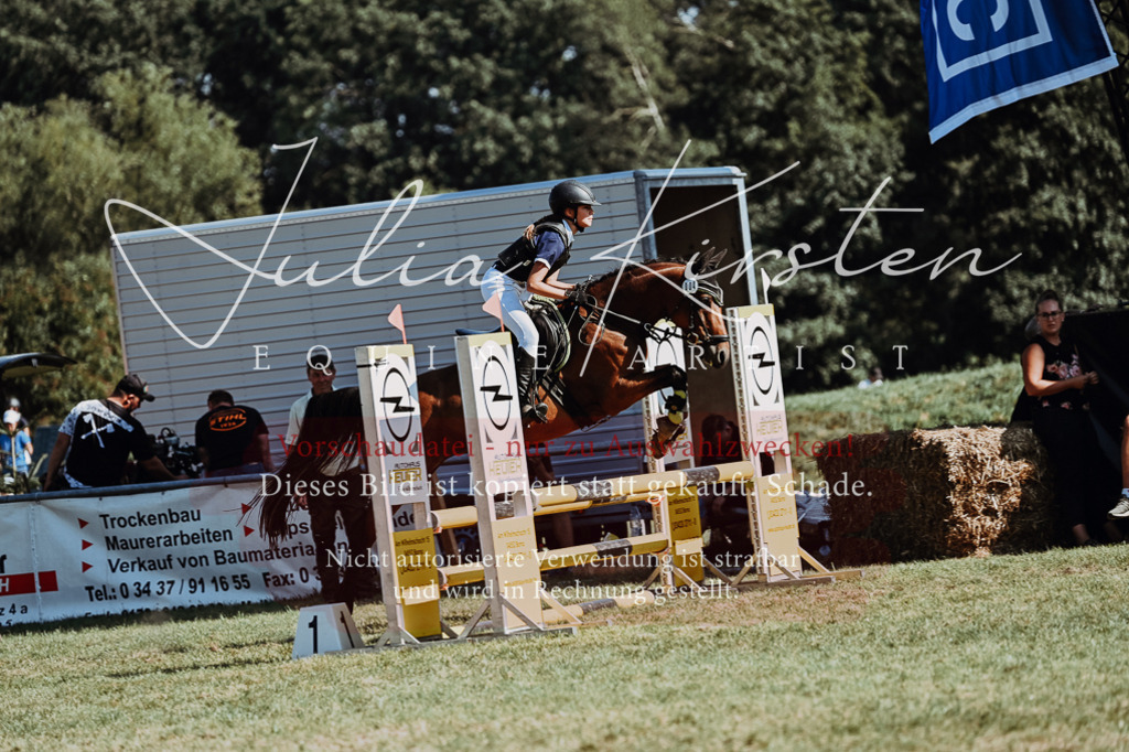 DSC_6732 | Pferde- und Turnierfotografie in Westsachsen. Pferdeportraits, Auftragszeichnungen und intuitive Kunst.
