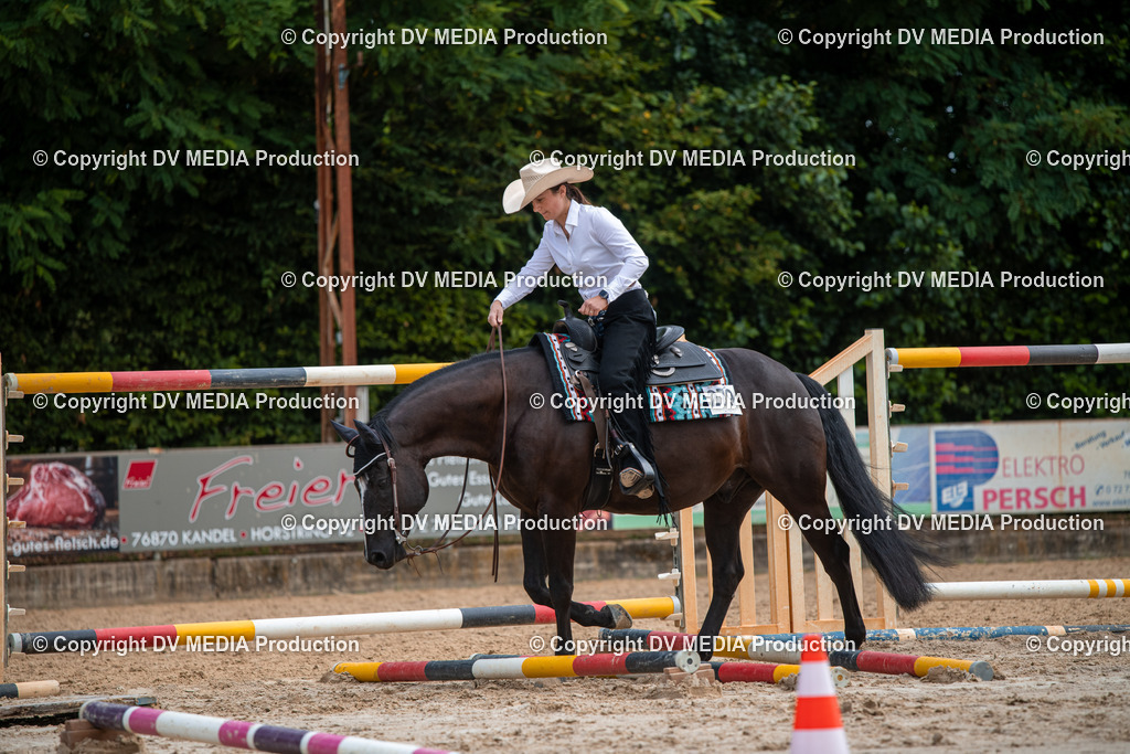 ZS3_9210 | dv-media-shop - Realisiert mit Pictrs.com