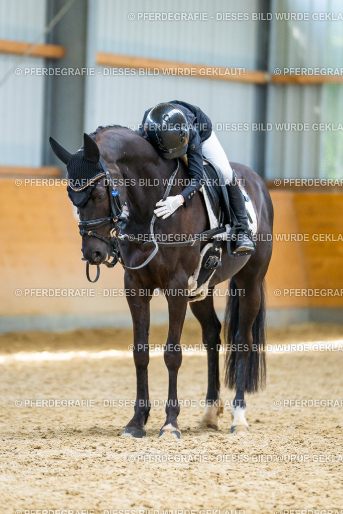 DSC09016 | Pferdegrafie