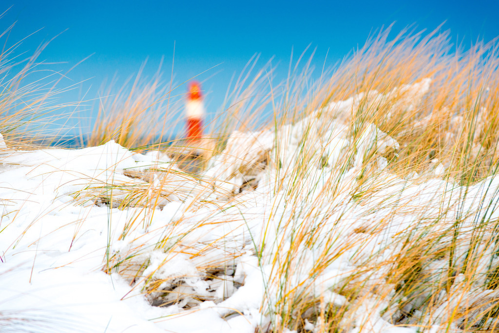 _DSC4729_mehr Kontrast | Holen Sie sich das Meer nach Hause. Exklusive maritime Fotokunst & preisgekrönte Motive von der Ostsee und den Dünen jetzt online entdecken.