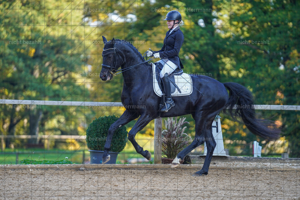 20221007-FAH00272 | Diessen am Ammersee, 2022, Dressur- und Springturnier, Reitsportbilder, Turnierfotografen Bayern, Pferdefotografen, Fotoagentur Herrmann, Turnierbilder