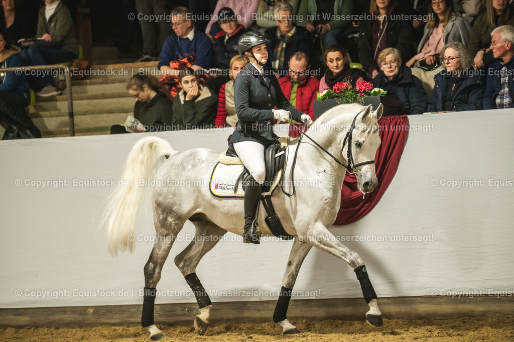 20240302_Hengstvorstellung_Marbach_TOMsPiC_1061 | equistock