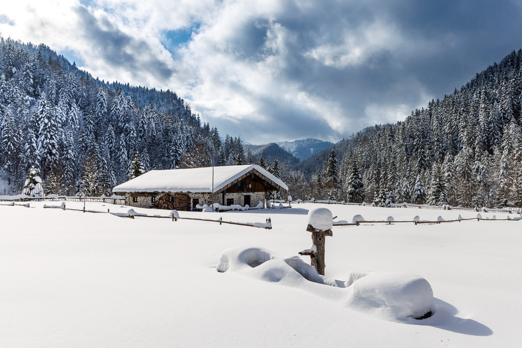 _T2A7126 | ap-design // andreas plenk - Realisiert mit Pictrs.com