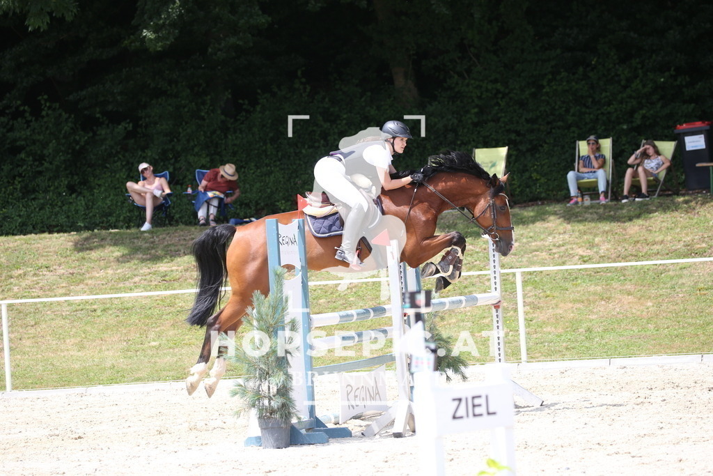 DL2Q0430 | Willkommen bei Brunnmayr - Design & Fotografie – Ihrem Spezialisten für Reitturniere und Pferdeveranstaltungen in Oberösterreich, Salzburg und Bayern! Seit über 17 Jahren sind wir leidenschaftlich dabei.