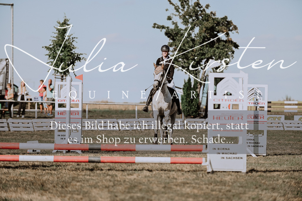 DSC_9501 | Pferde- und Turnierfotografie in Westsachsen. Pferdeportraits, Auftragszeichnungen und intuitive Kunst.