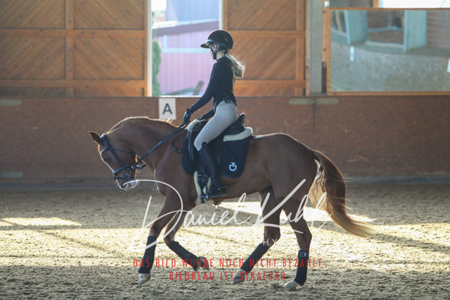 DKP42171 | Turniersportfotografie; Pferdefotografie; Dressurfotografie