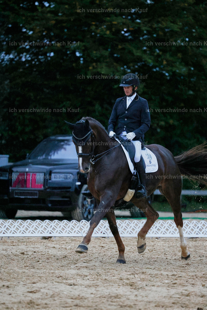 04_2-240-Dressur M__ -StoibPH-3041 | working equitationturnier fotograf videograf stoibphotography marixx film working equitation deutschland reitsport turnierfotografie eventfotografie equestrian events
