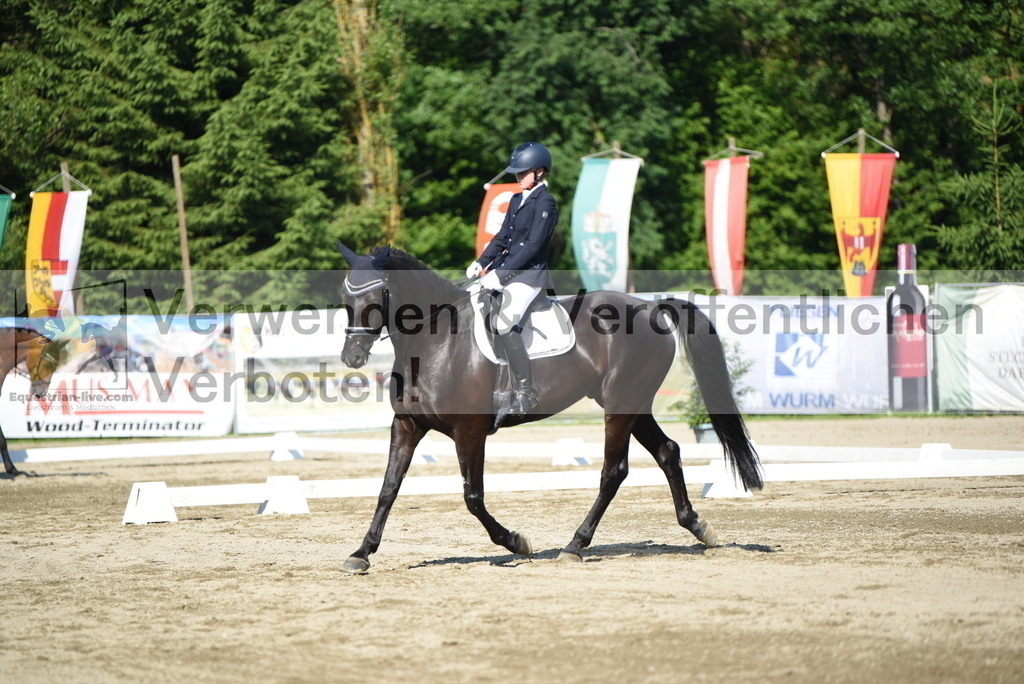 DSC_7237 | equestrian-live-com