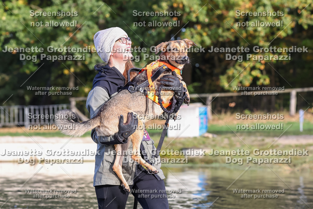 Dog Paparazzi - Strongdog 10-25-8422 | Dog Paparazzi Jeanette Grottendiek Fotografie & Videografie - Realisiert mit Pictrs.com