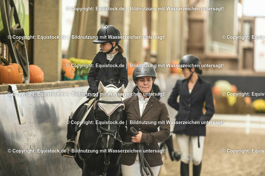 20231029_Führzügel-WB_Abteilung-02_0011 | Foto: Thomas Hartig