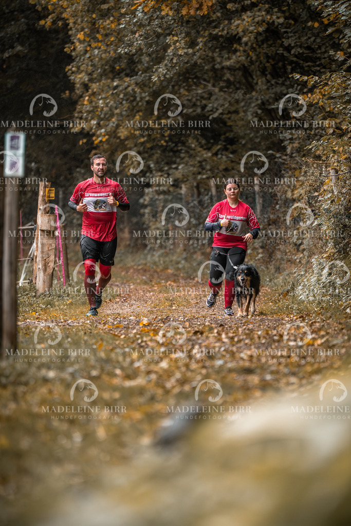 madeleinebirr-fotografie2025.campcanis.sa.8-9Uhr-159 | hundefotografie-birr