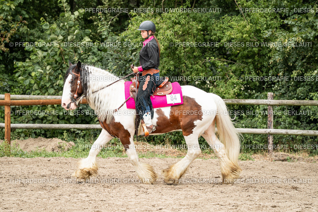 DSC01298 | Pferdegrafie