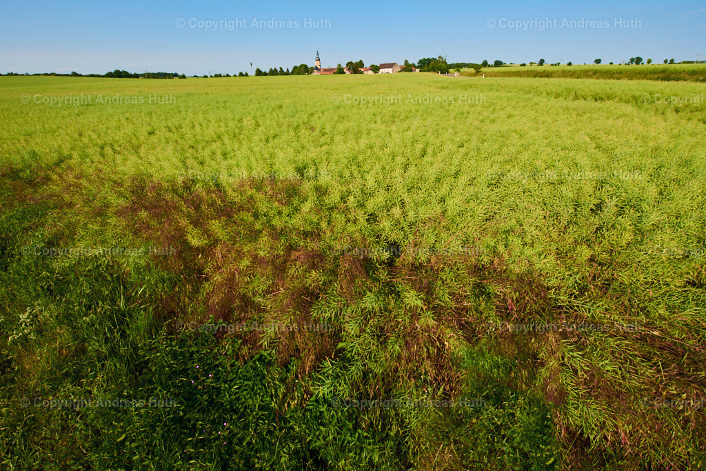 Das Angerdorf Neundorf 01 | Bedeutsame Landschaften Deutschlands - Realisiert mit Pictrs.com