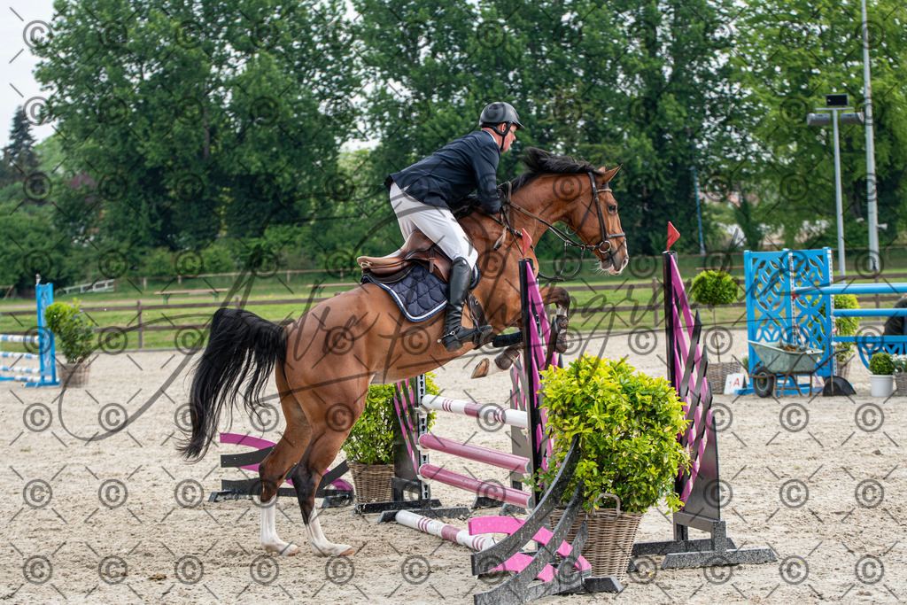 KPT_2172 | andre_photographic