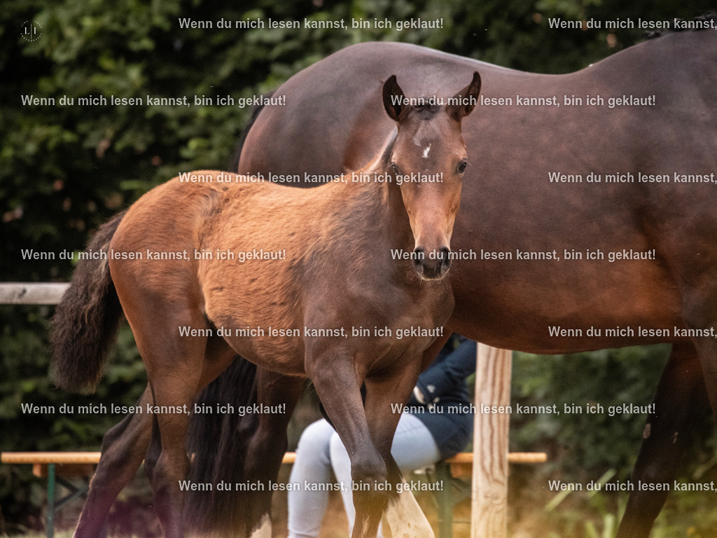 A10I7171 | photographylinaismer - Realisiert mit Pictrs.com