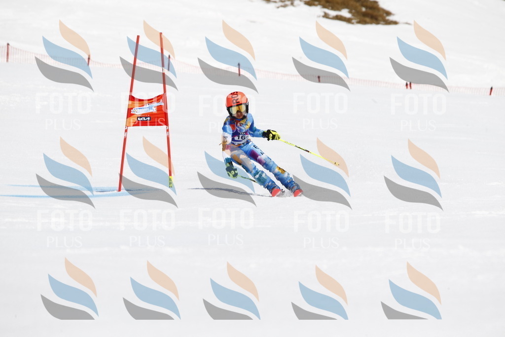 _U3G4335 | holidayphoto