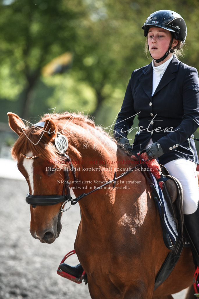 DSC_9027 | Pferde- und Turnierfotografie in Westsachsen. Pferdeportraits, Auftragszeichnungen und intuitive Kunst.