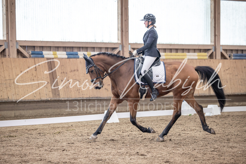 20251011-_3LI0300 | Tierfotografie Pferde, Hunde, Katzen, Haustiere.
Turnierfotografie Reitturniere, Reiten, Springreiten, Dressur in Hanau, dem Main-Kinzig-Kreis und dem Rhein-Main- Gebiet um Frankfurt