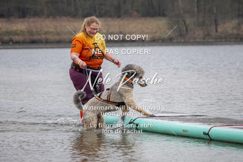 nelerasche_Hulsbeek_Sa1330-1430_190 | nelerasche