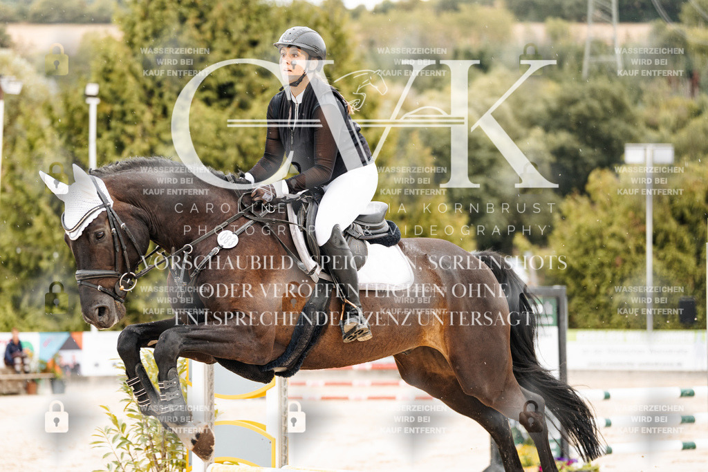 CK908636 | Turnierfotografie Pferdefotografie Trier Rheinland-Pfalz Pferdesport Reitsport Tierfotografie Sportfotografie Pferdevideo Pferdevideografie Equestrianvideography equestrianphotography  - Realisiert mit Pictrs.com