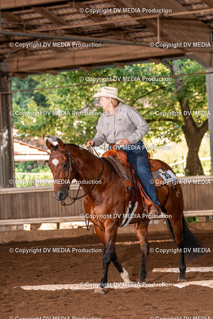 Erbach Tag 2-70 | dv-media-shop - Realisiert mit Pictrs.com