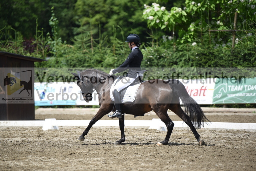DSC_1461 | equestrian-live-com