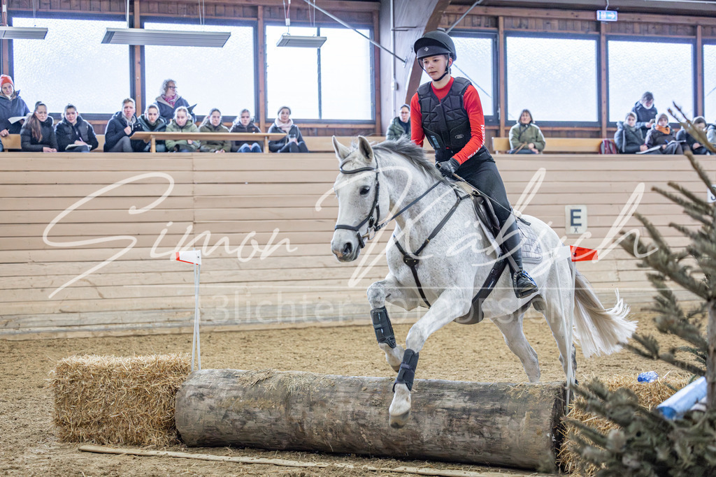 20260221-_3LI9567 | Tierfotografie Pferde, Hunde, Katzen, Haustiere.
Turnierfotografie Reitturniere, Reiten, Springreiten, Dressur in Hanau, dem Main-Kinzig-Kreis und dem Rhein-Main- Gebiet um Frankfurt