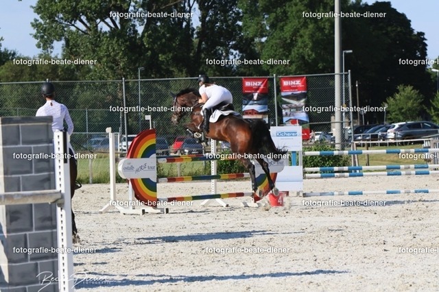 OHT 2022 Röhlingen (123) | Fotografie, Tiere, Hunde, Katzen, Pferde, Sportfotografie, Fotosession, Tierfotografie, Turnierfotografie, Fotografin, Fotograf - Realisiert mit Pictrs.com