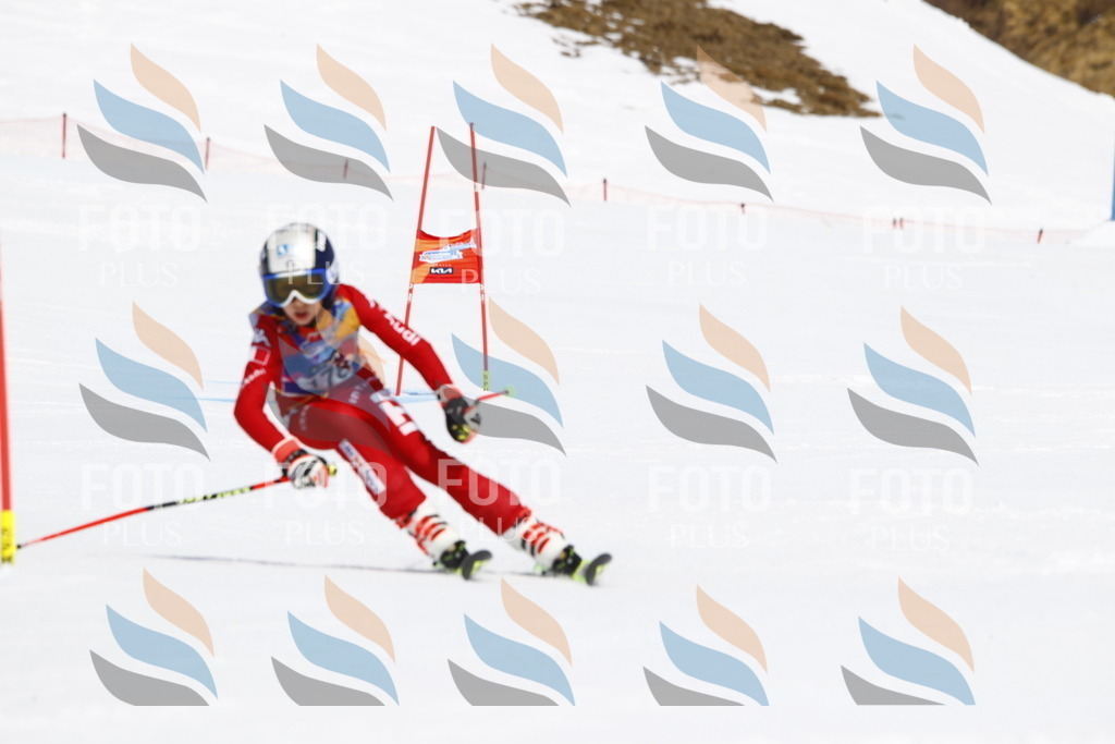 _U3G4690 | holidayphoto