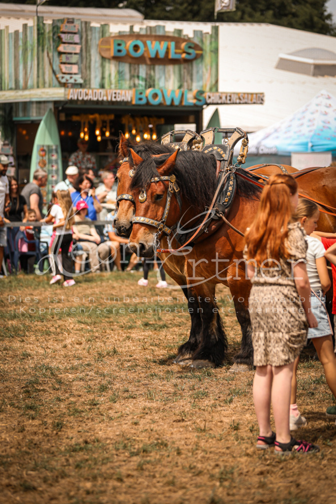 SoShow00252 | Leoni Ertmer Photography - Realisiert mit Pictrs.com