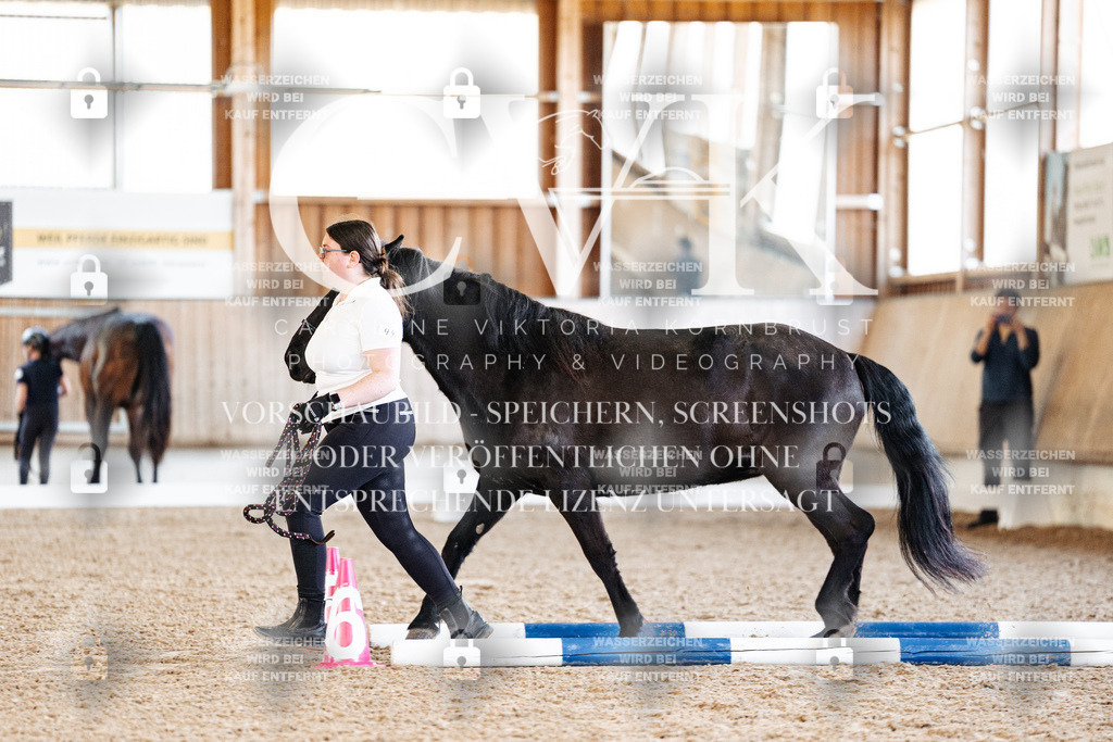 CK905661 | Turnierfotografie Pferdefotografie Trier Rheinland-Pfalz Pferdesport Reitsport Tierfotografie Sportfotografie Pferdevideo Pferdevideografie Equestrianvideography equestrianphotography  - Realisiert mit Pictrs.com