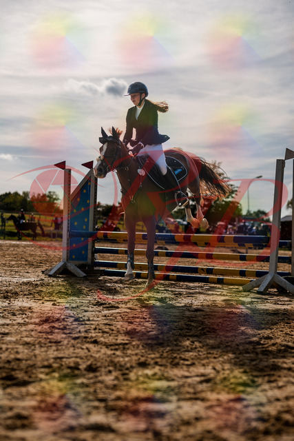 2026_10_03_Siefer-Hof_155745_Z63_10782444 | Professionelle Reitsport-, Turnier- und Eventfotografie von Robert Broda. Galerien mit ausgewählten und bearbeiteten Bildern direkt online ansehen und bestellen.