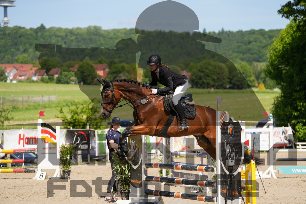 DSC02223 | Julian Held Fotografie - Realisiert mit Pictrs.com