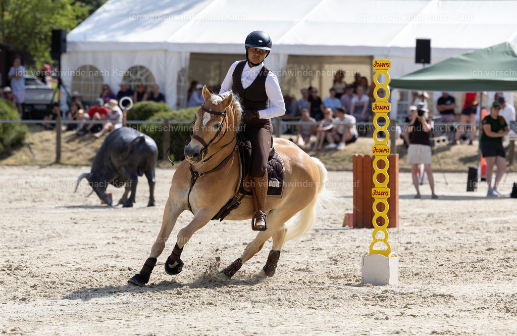 WS_SPEED_1_KerstinBernhardt-2 | working equitationturnier fotograf videograf stoibphotography marixx film working equitation deutschland reitsport turnierfotografie eventfotografie equestrian events