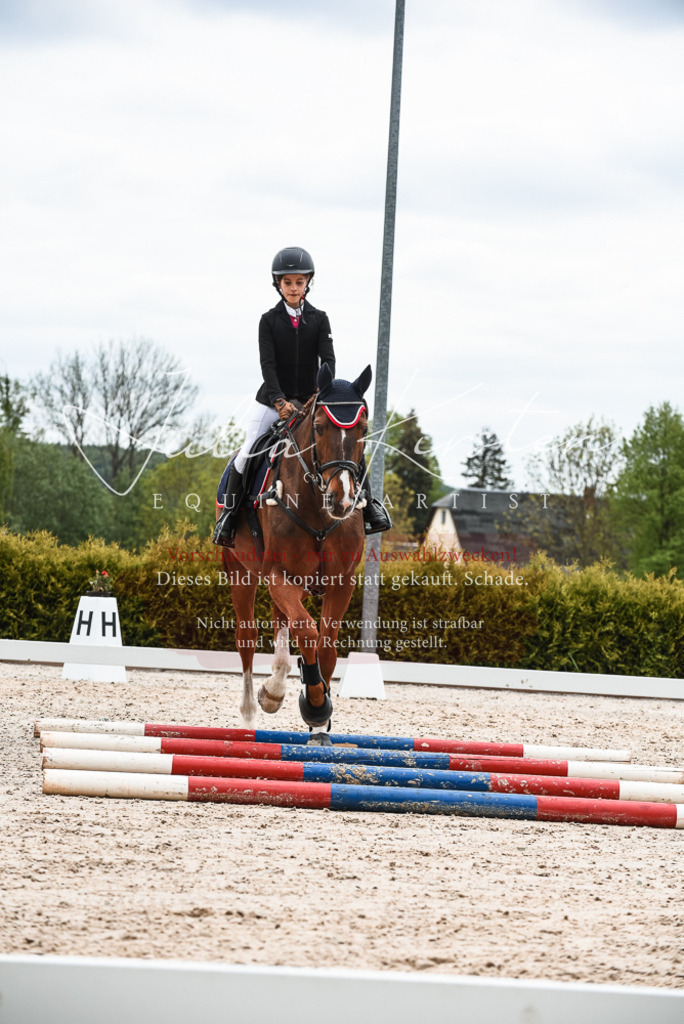 20230518_JK-Röhrsdorf-10-431 | Pferde- und Turnierfotografie in Westsachsen. Pferdeportraits, Auftragszeichnungen und intuitive Kunst.