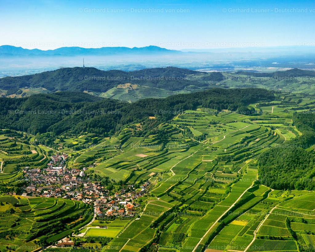 2700036 | Blick über den Kaiserstuhl bei Kichlinsbergen in Richtung Süden auf den Schwarzwald