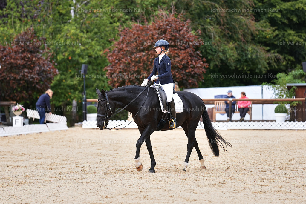 04_1-033-Dressur M__ -Marixx-2765 | working equitationturnier fotograf videograf stoibphotography marixx film working equitation deutschland reitsport turnierfotografie eventfotografie equestrian events