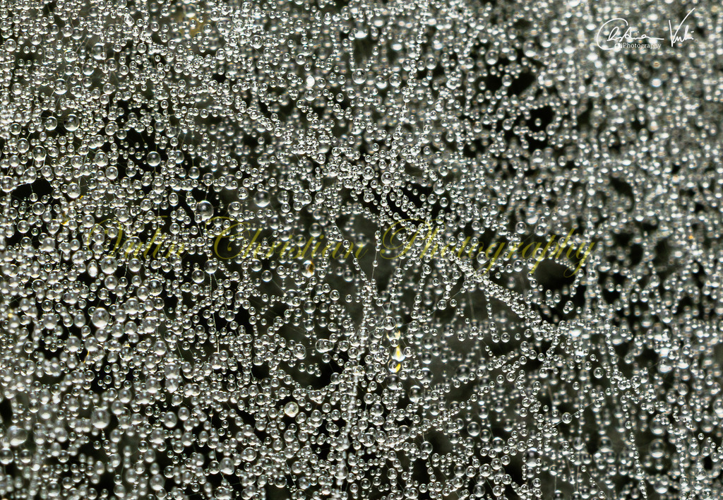 MN 22 | Christian Vulin  - Realisiert mit Pictrs.com