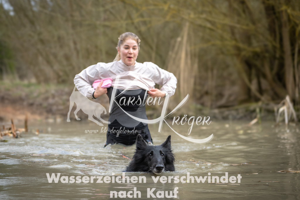 1556_ZZ94693 | kk-dogfotos