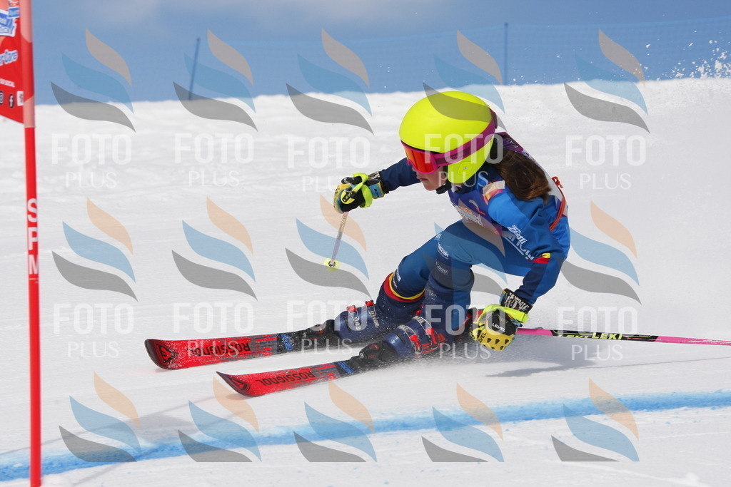 _W1G0710 | holidayphoto