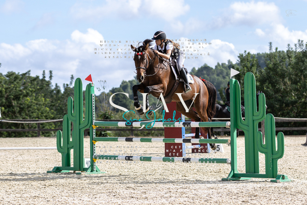 IMG_3220 | s-jay-photography - Realisiert mit Pictrs.com