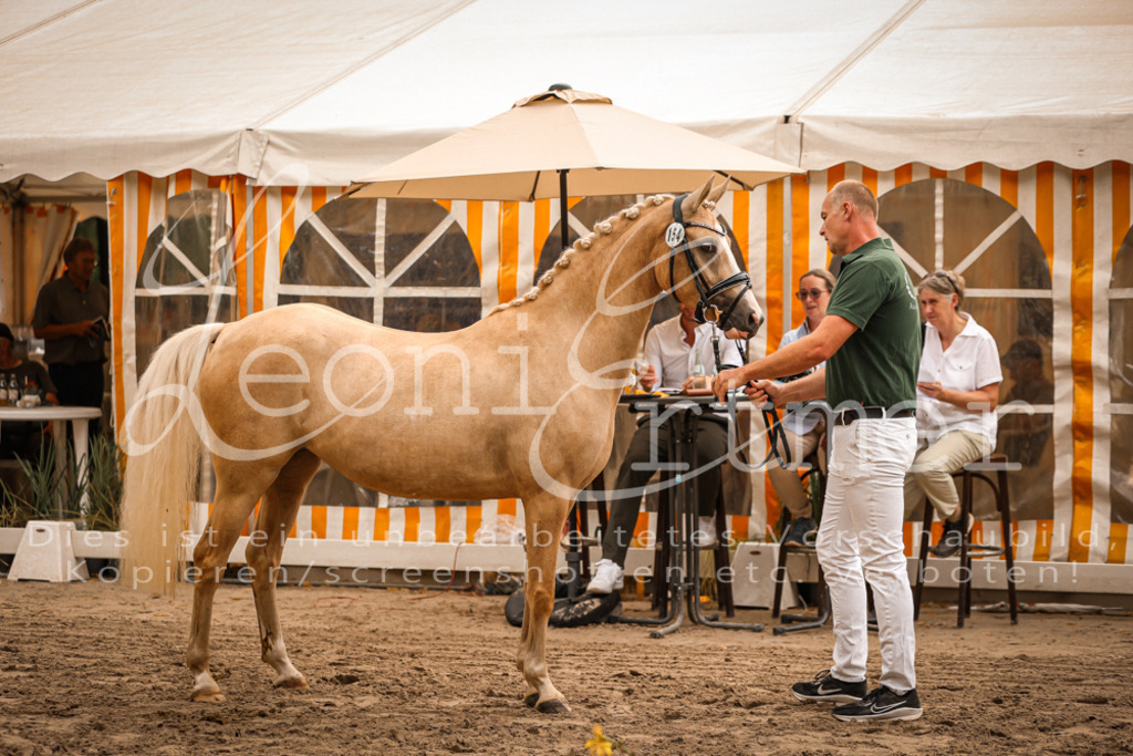 07.So00093 | Leoni Ertmer Photography - Realisiert mit Pictrs.com