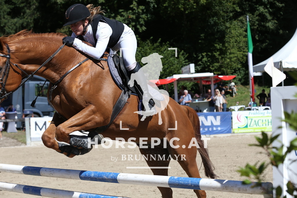 DL2Q0695 | Willkommen bei Brunnmayr - Design & Fotografie – Ihrem Spezialisten für Reitturniere und Pferdeveranstaltungen in Oberösterreich, Salzburg und Bayern! Seit über 17 Jahren sind wir leidenschaftlich dabei.