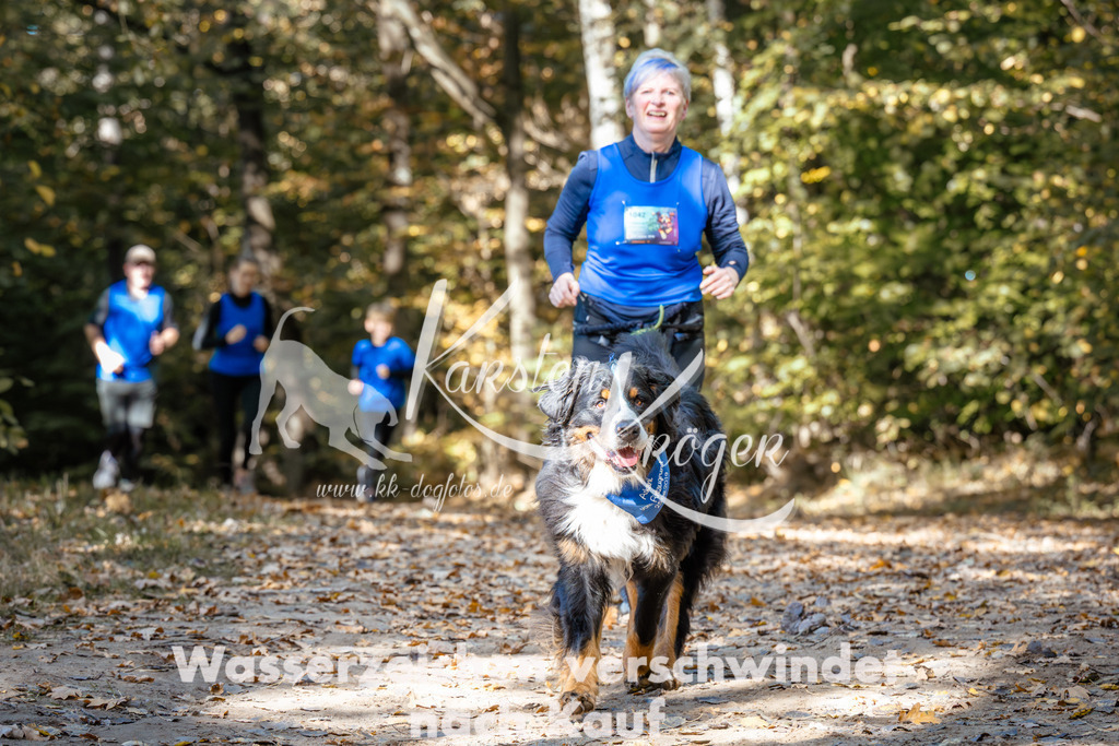 1222_ZZ94943 | kk-dogfotos