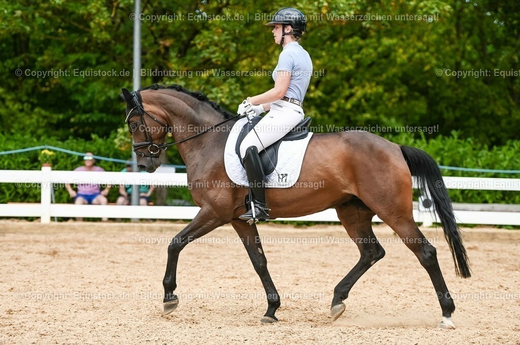 20230715_02_Dressurreiterprüfung Kl.L_0424 | equistock